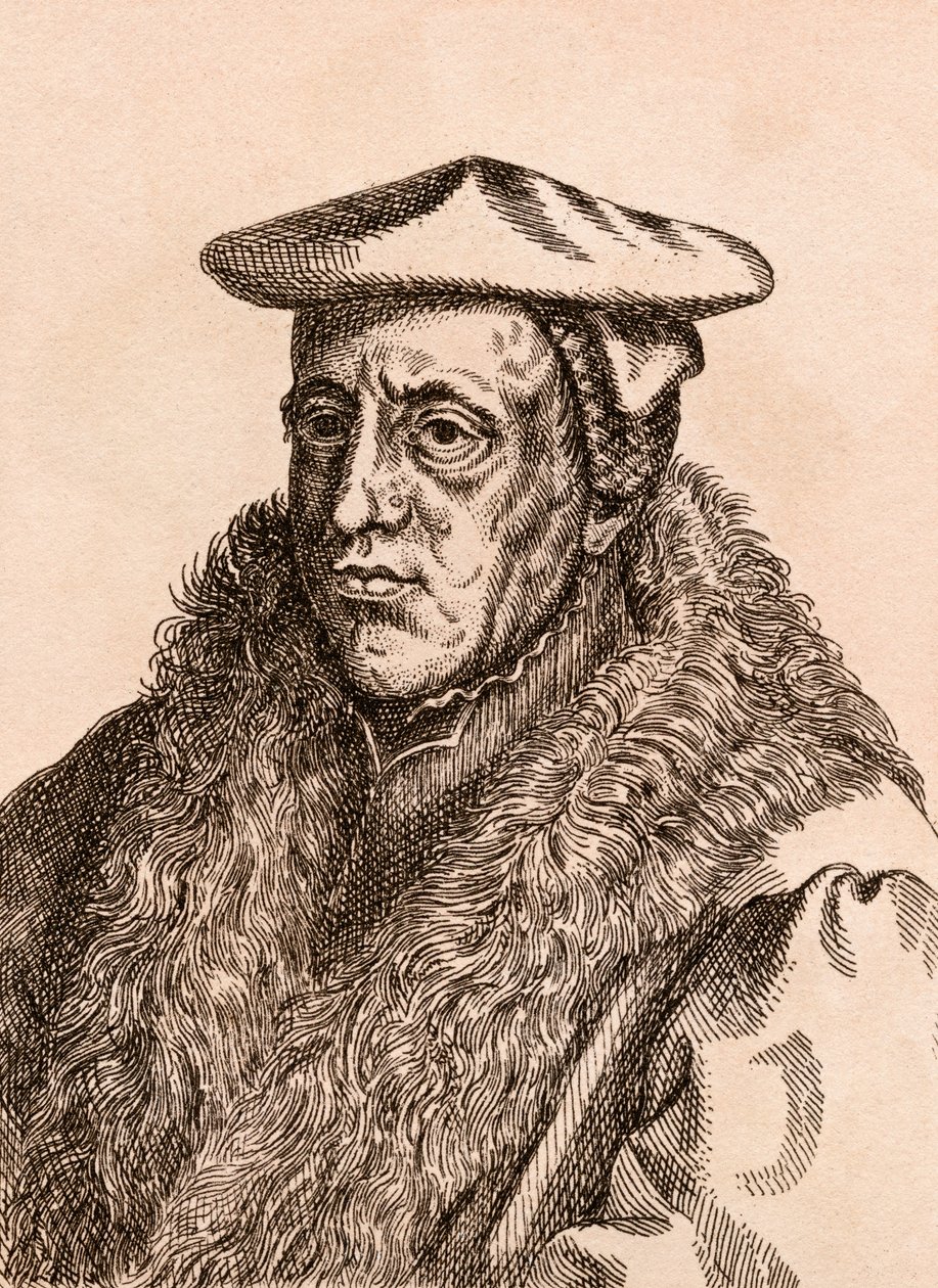 Jan van Scorel, illustration de 