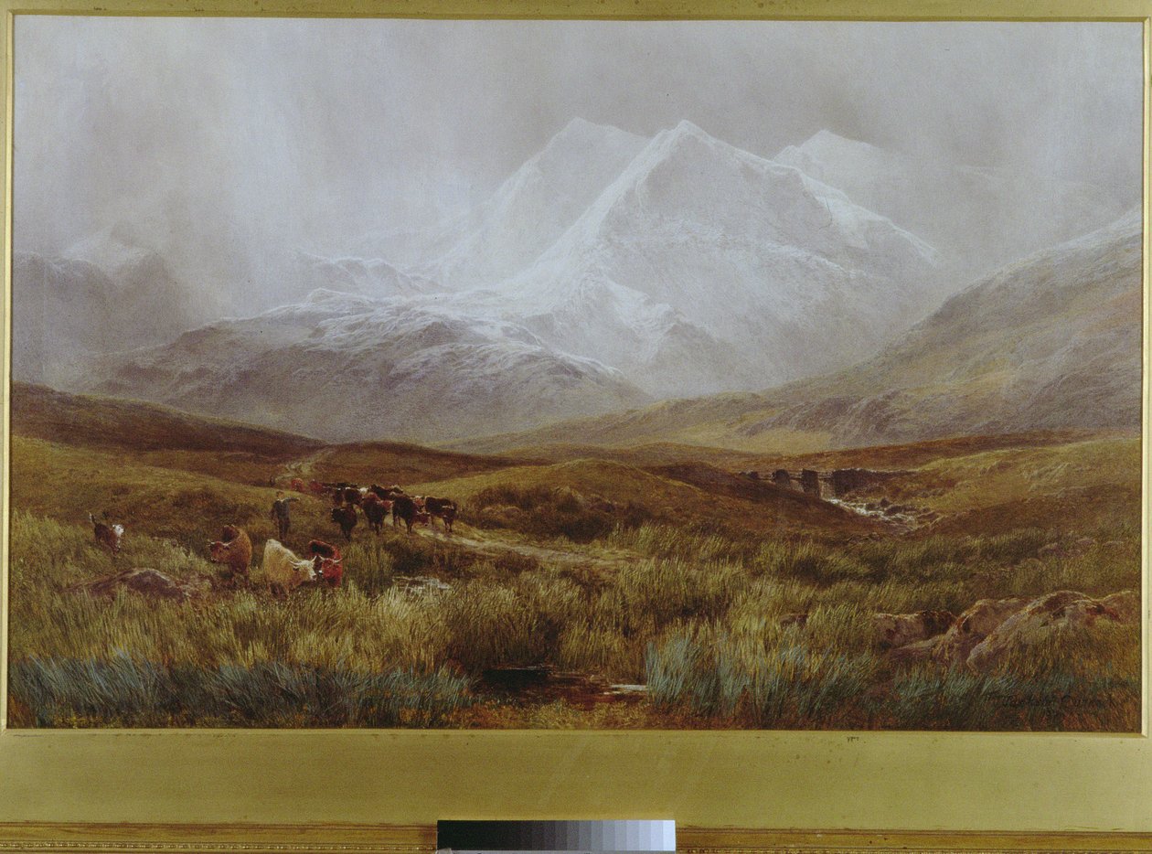 Tempête de neige sur Snowdon, 1879 - James Jackson Curnock