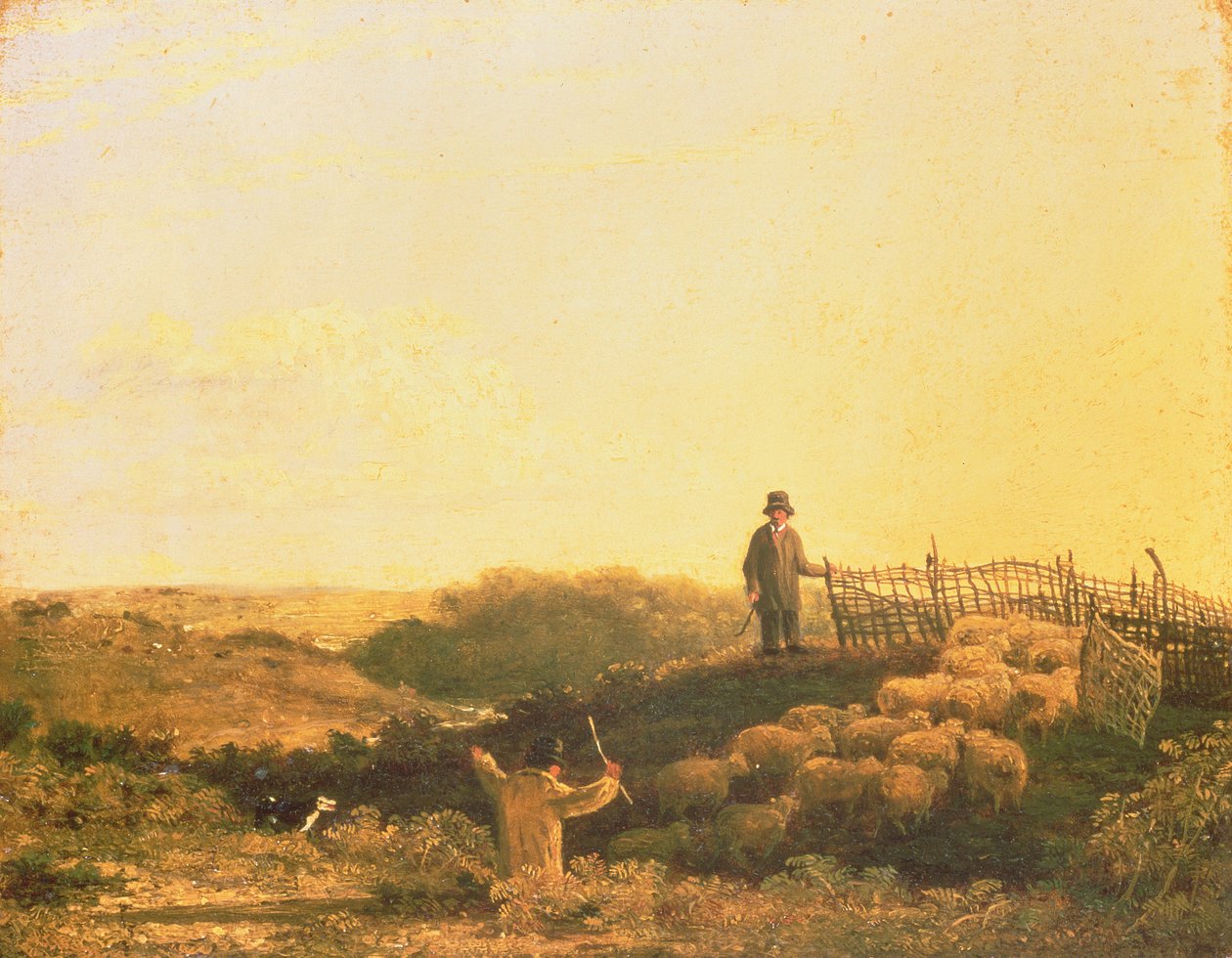 Enfermer le troupeau - James Stark
