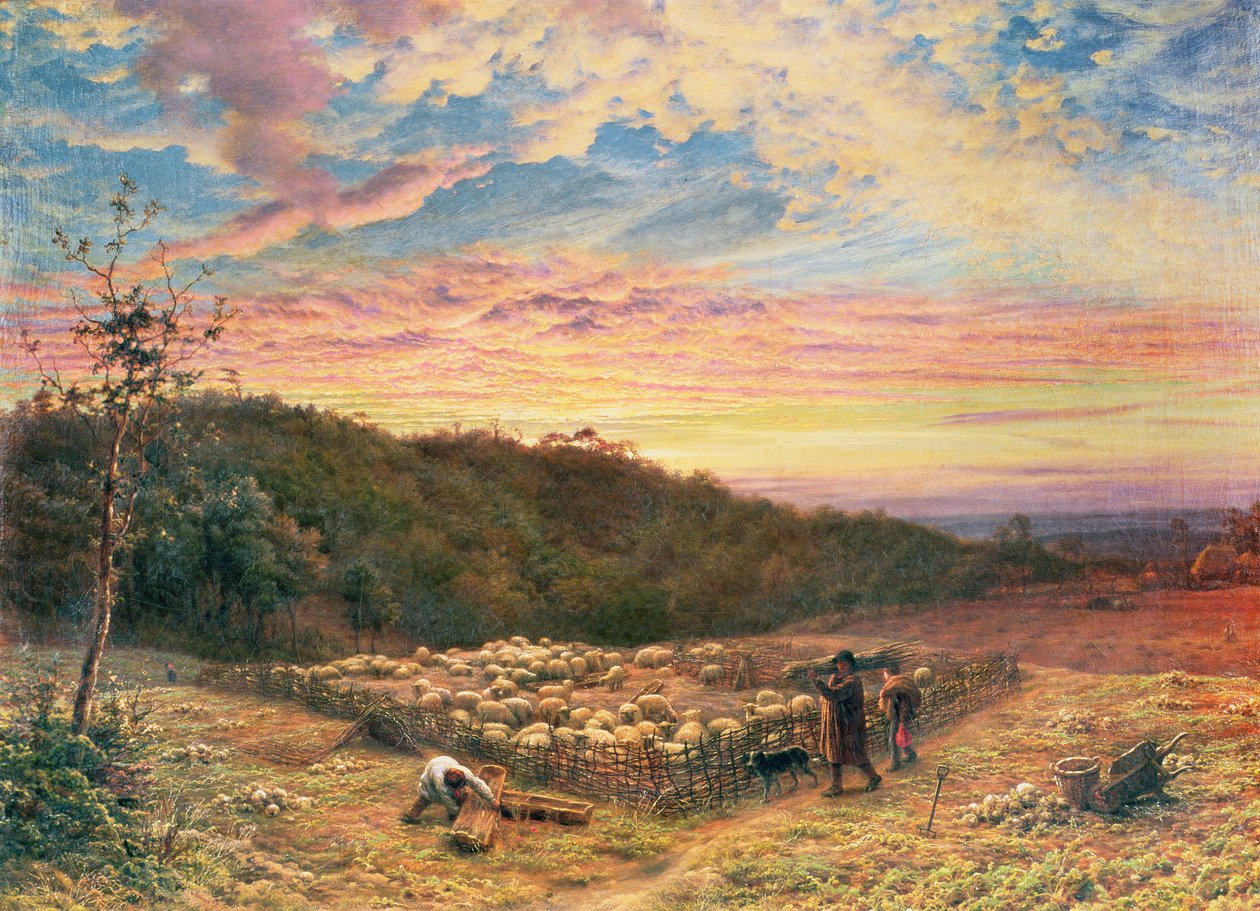 La bergerie - Matin d