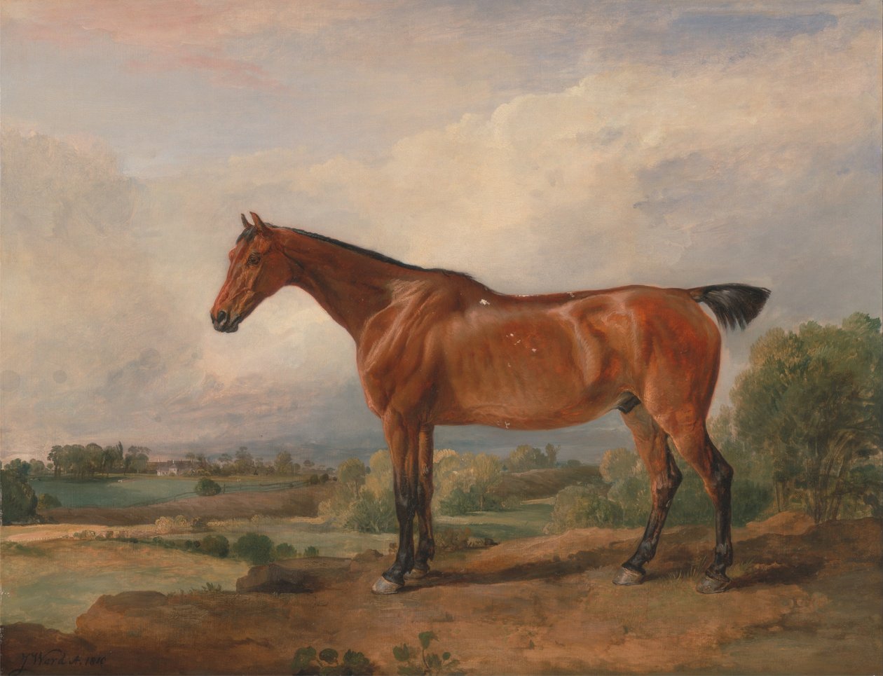 Un chasseur dans un paysage - James Ward