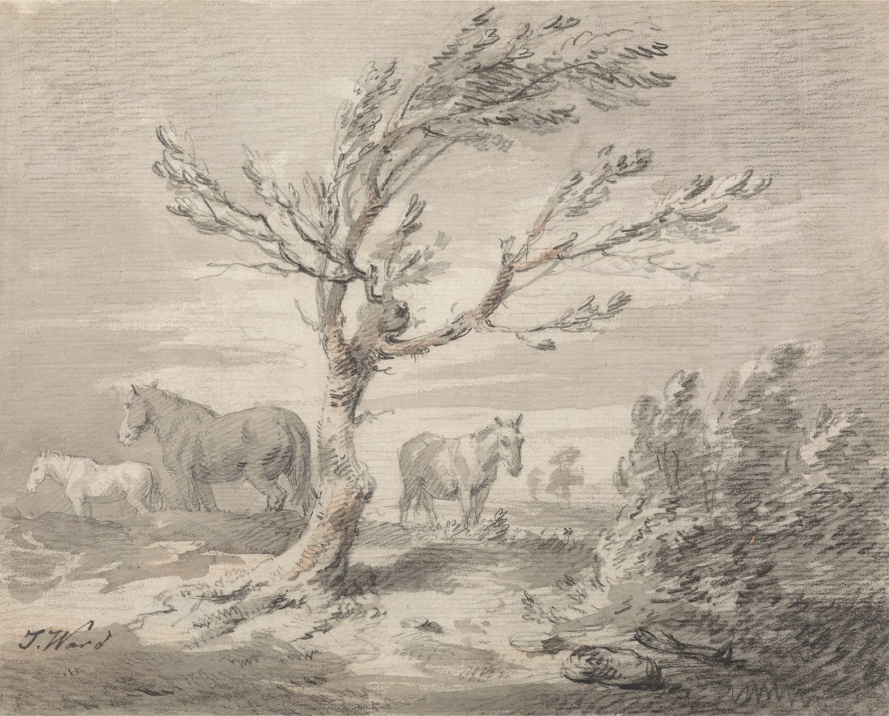 Paysage avec Trois Chevaux et un Arbre au Premier Plan - James Ward