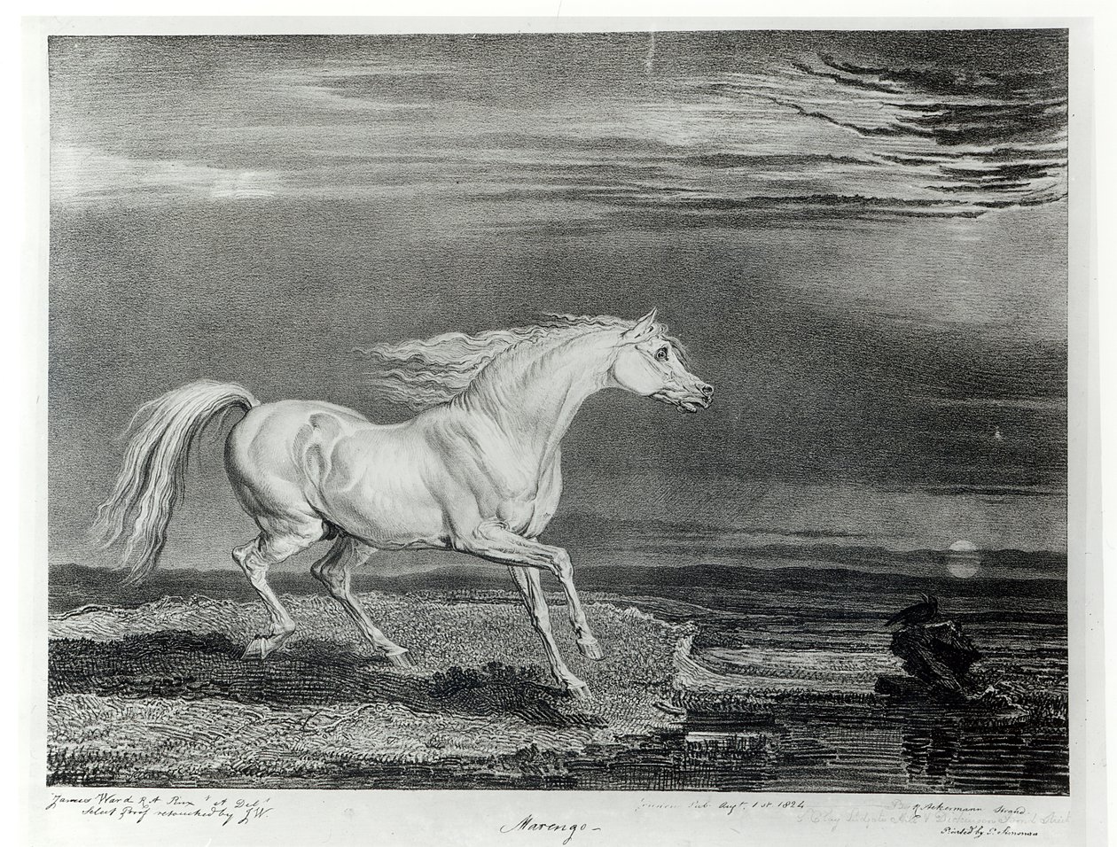 Marengo, gravé par l
