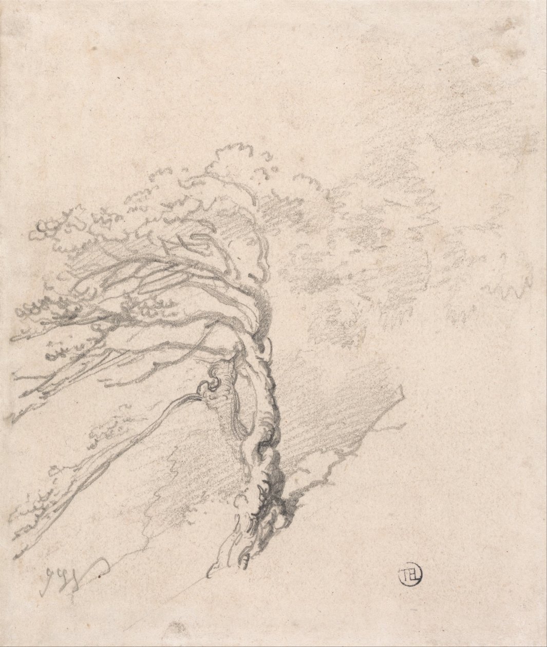 Arbre sur une colline - James Ward