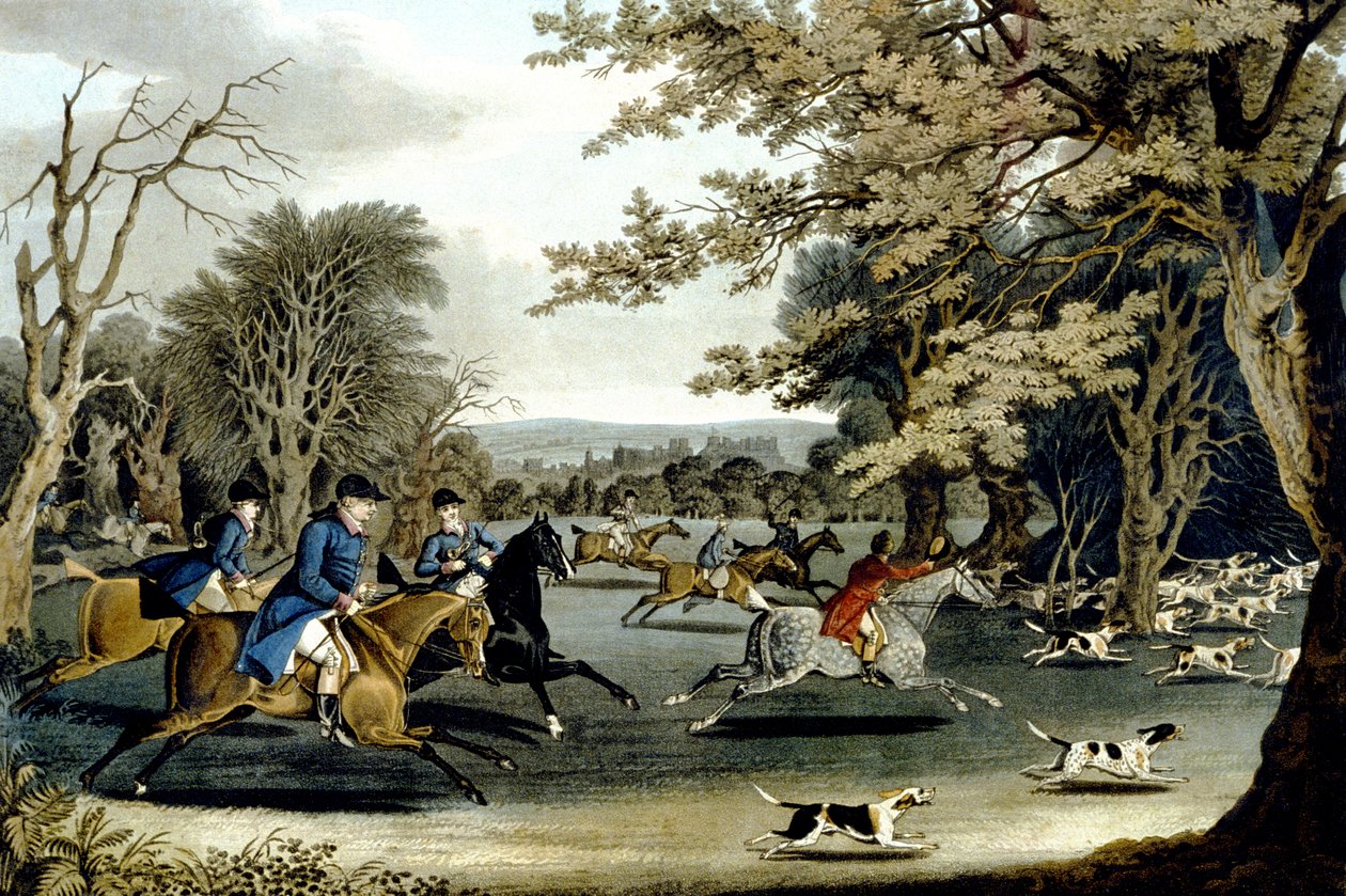 Chasse royale dans le parc de Windsor (gravé par Matthew Dubourg) - James (after) Pollard