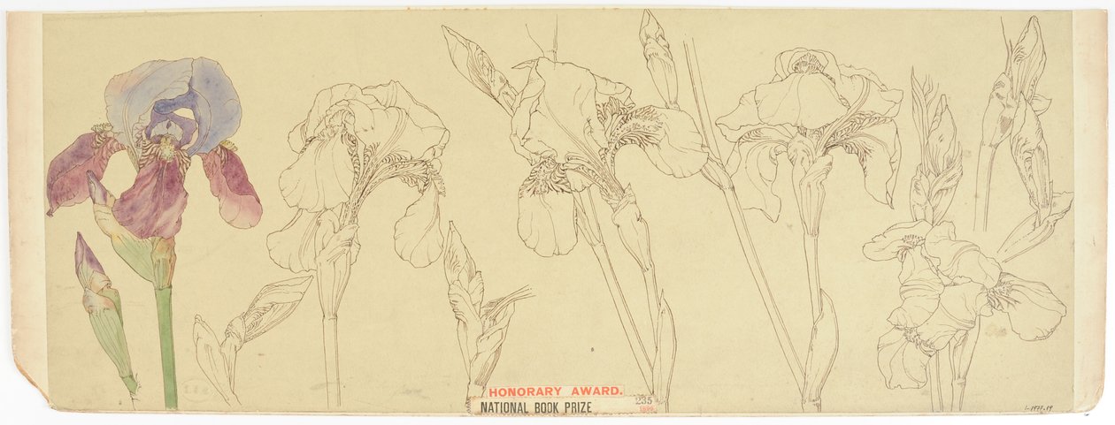 Études botaniques - James Atherton