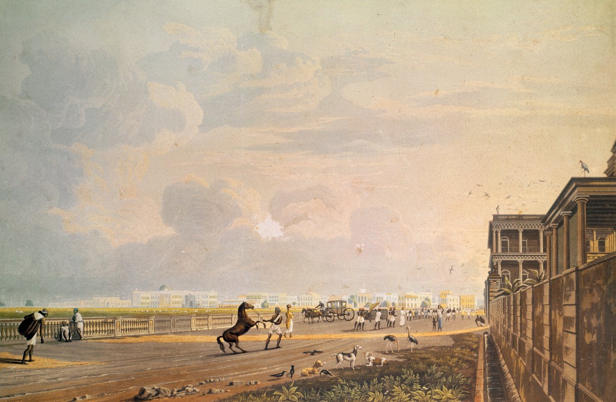 Vue de l