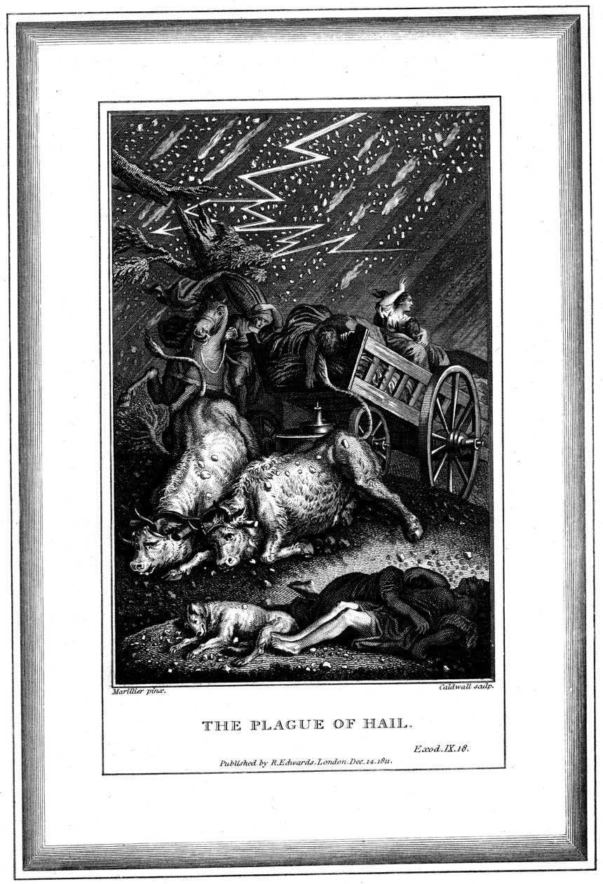 La peste de la pluie et de la grêle, l