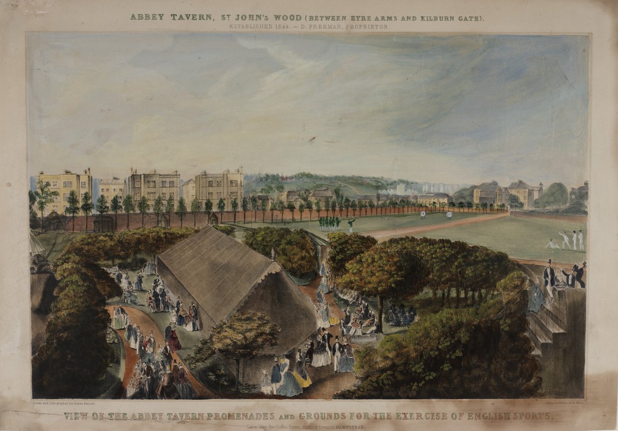Vue des promenades et des jardins de l