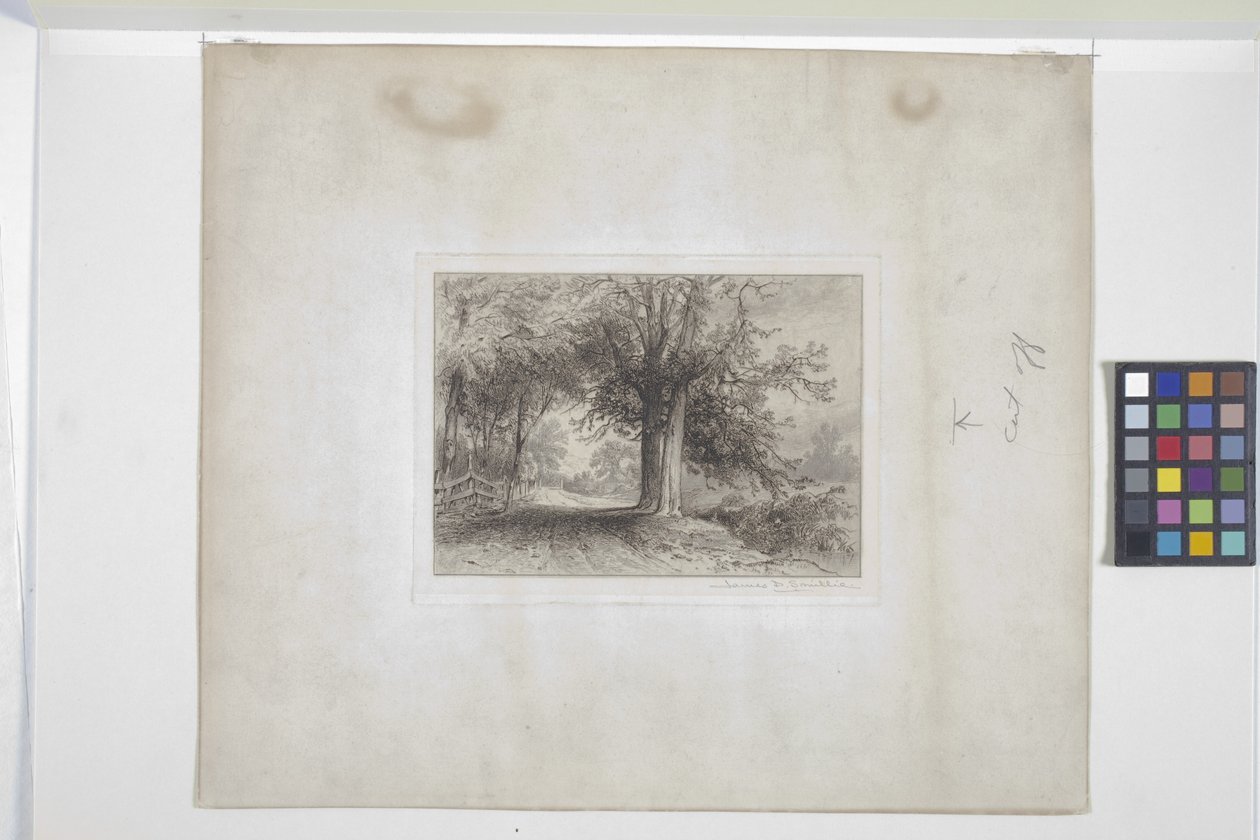 Paysage - James David Smillie