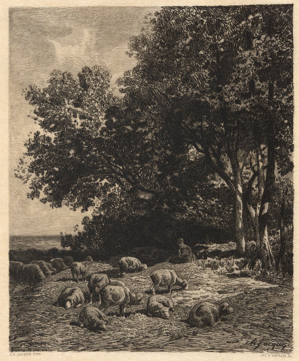 Paysage et moutons - James David Smillie