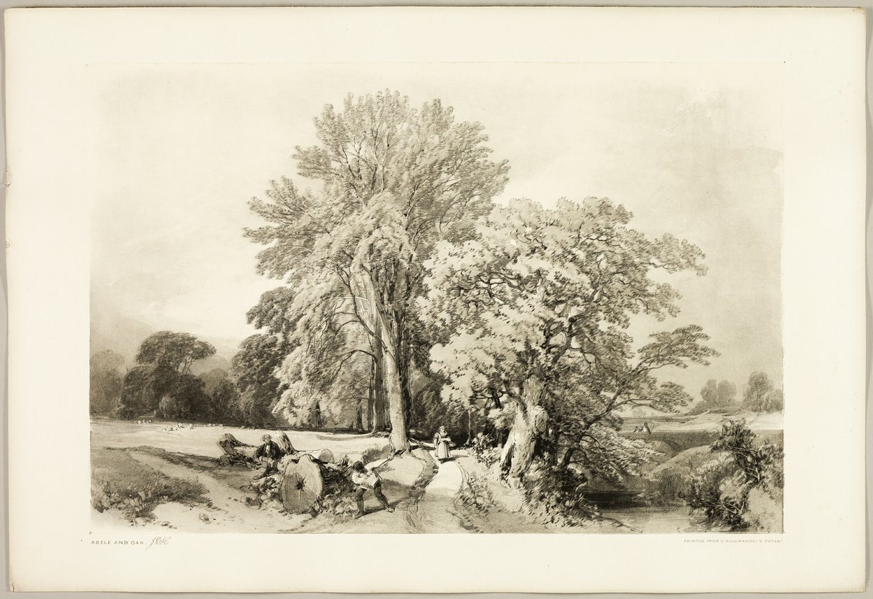 Abele et Chêne, du Parc et la Forêt - James Duffield Harding