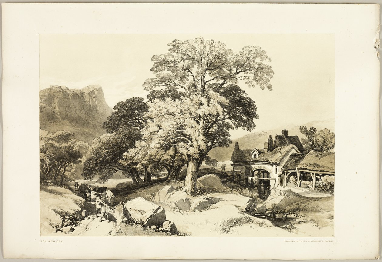 Frêne et Chêne, du Parc et la Forêt - James Duffield Harding