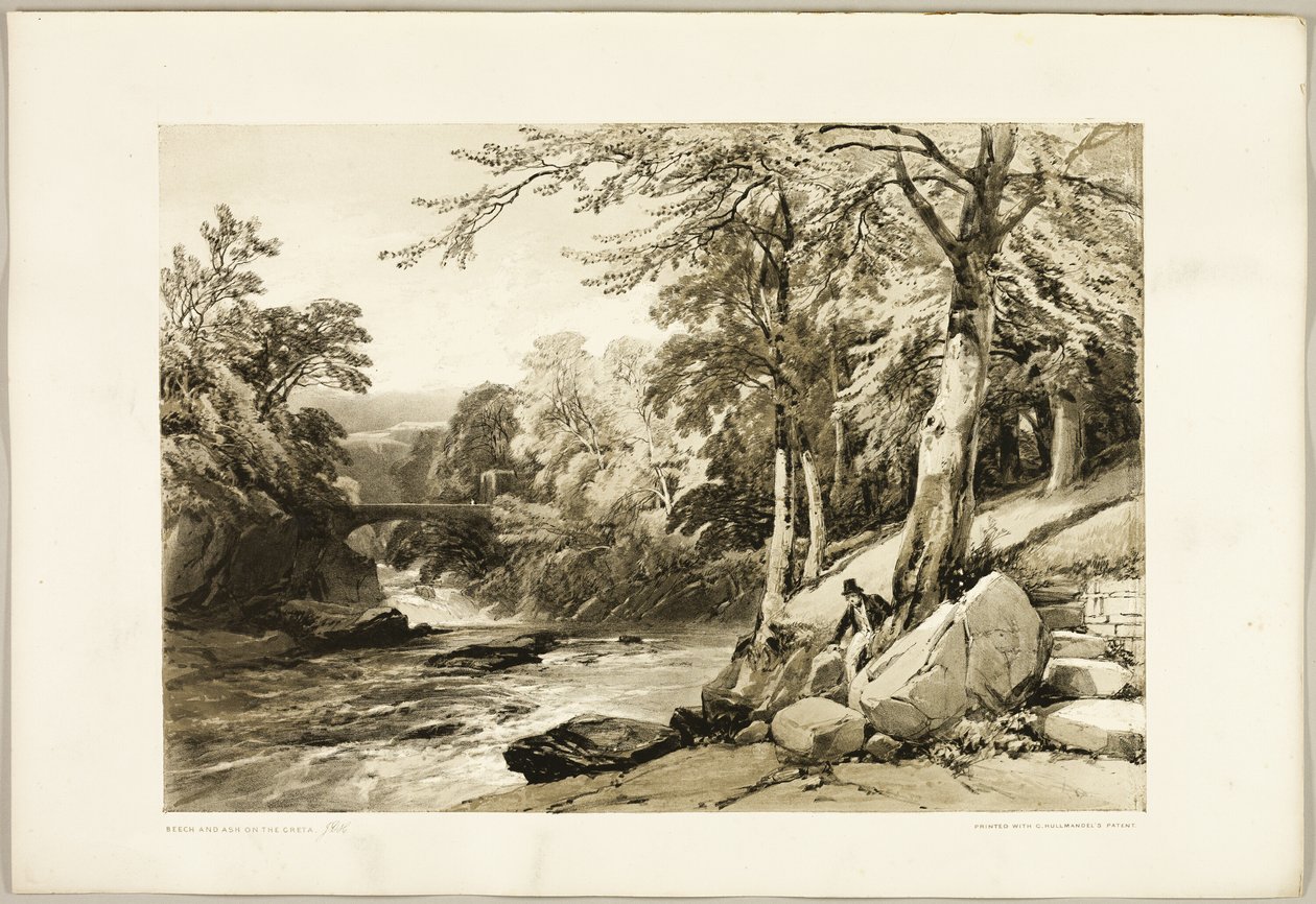 Hêtre et frêne sur la Greta, du Parc et la Forêt - James Duffield Harding