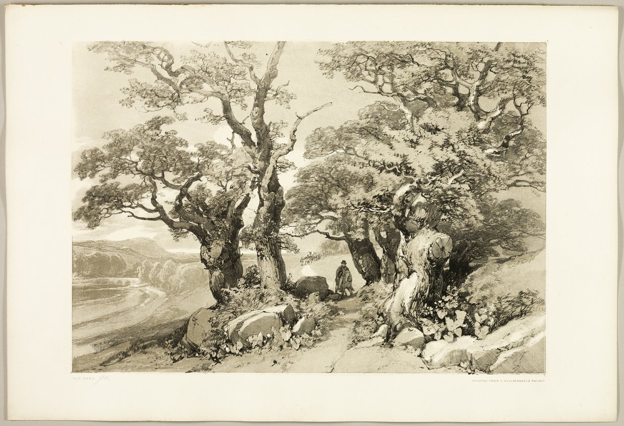 Vieux chênes, du Parc et la Forêt - James Duffield Harding