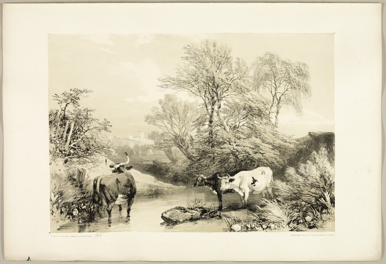 Épine, saule, hêtre et bouleau, du Parc et la Forêt - James Duffield Harding