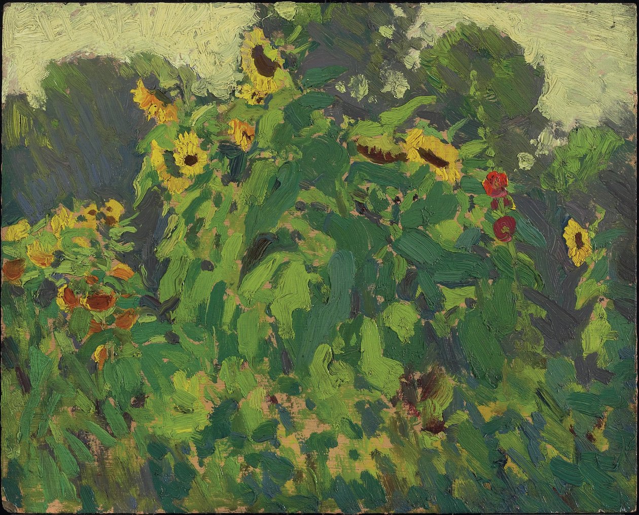 Tournesols, Thornhill, 1916 - James Edward Hervey Macdonald