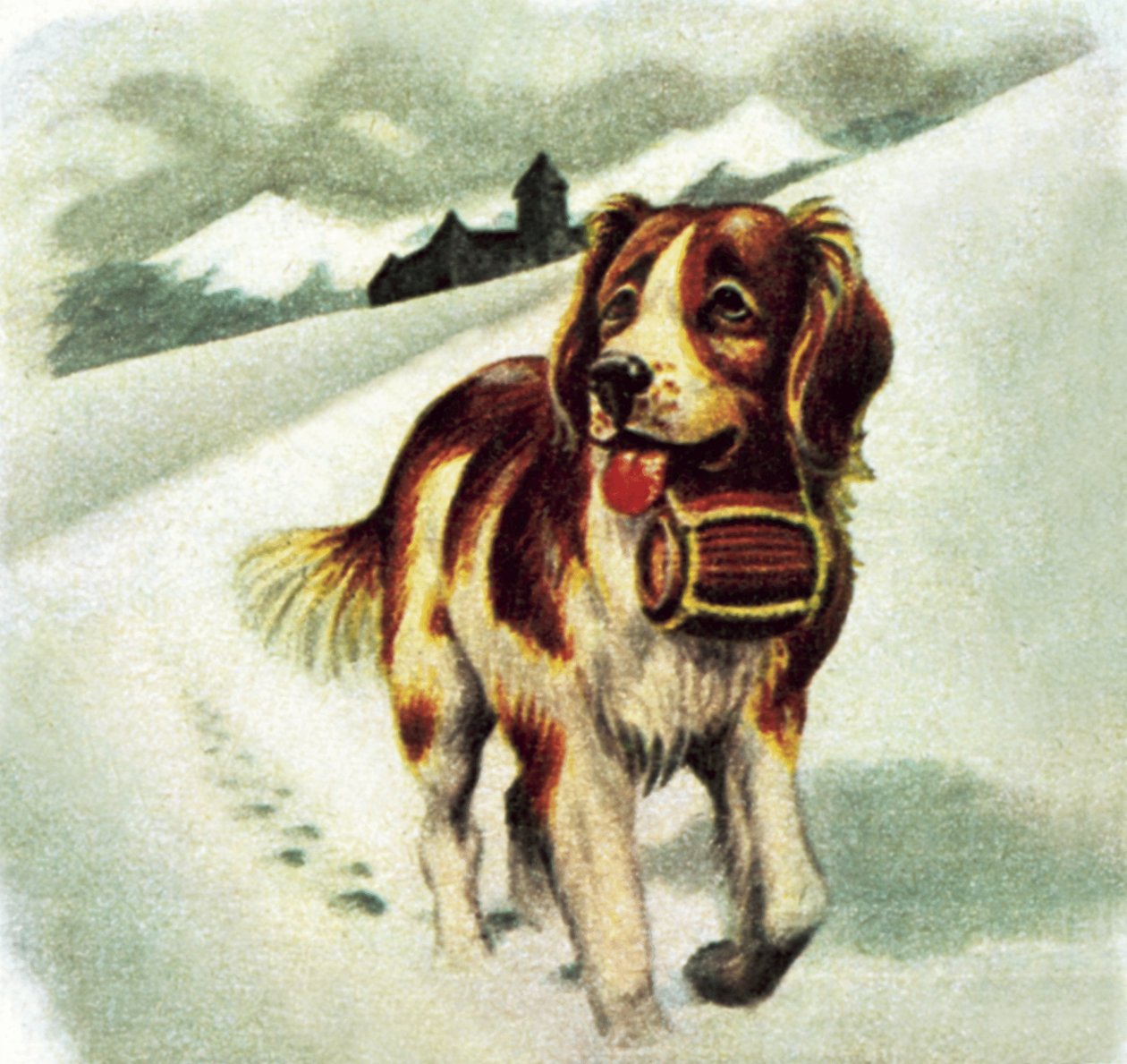 Chien St Bernard - James Edwin McConnell
