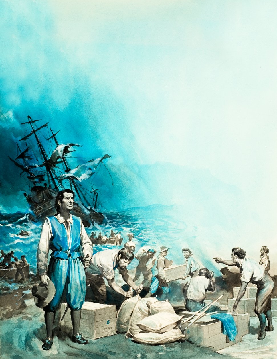 Le navire "Haarlem" échoué à Table Bay - James Edwin McConnell
