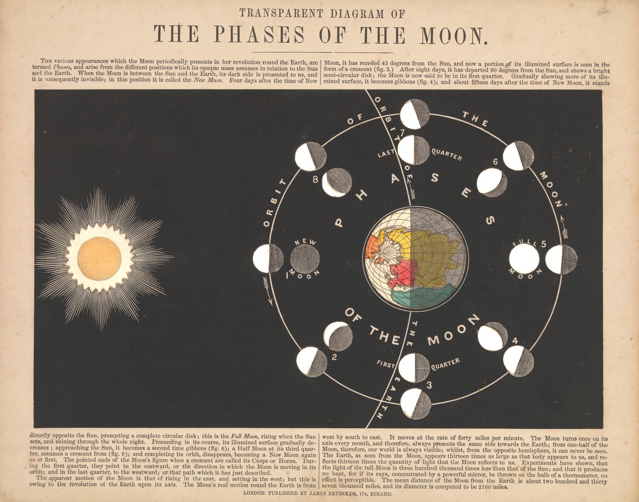 Diagramme transparent des phases de la lune - James & Emslie John (1813-75) Reynolds