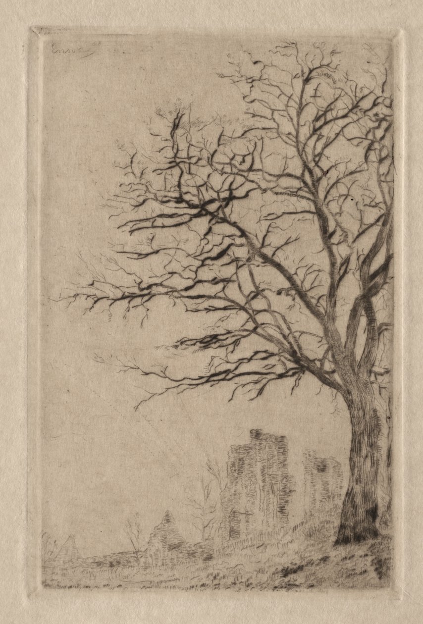 Acacia - James Ensor