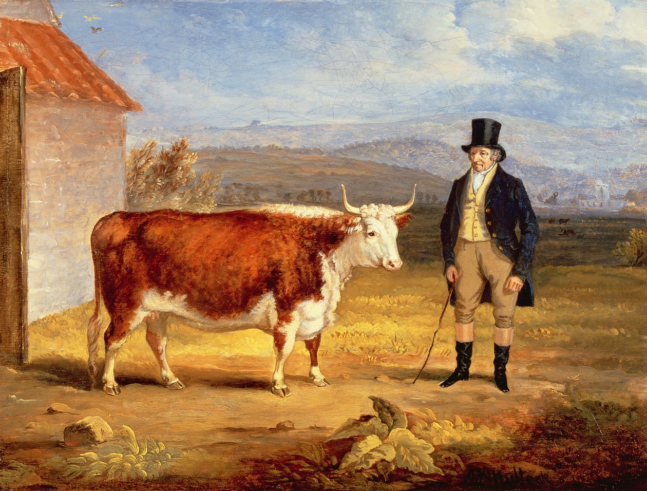 M. James Hodges et son bouvillon Hereford de deux ans, c.1843 - James Flewitt Mullock