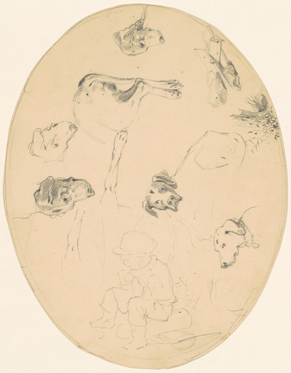 Études de chiens et d