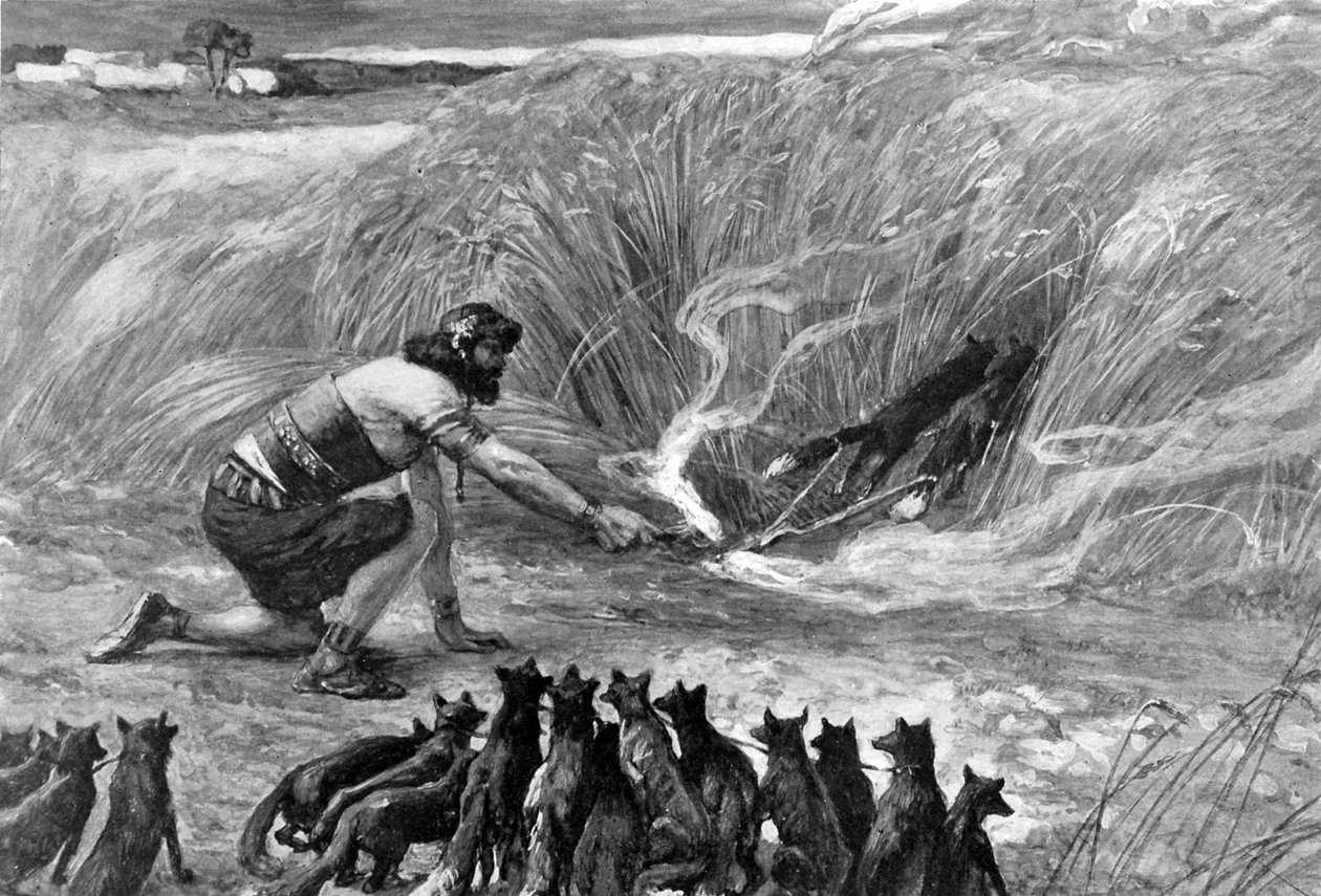 Samson et les renards par J. James Tissot - Bible - James Jacques Joseph (after) Tissot