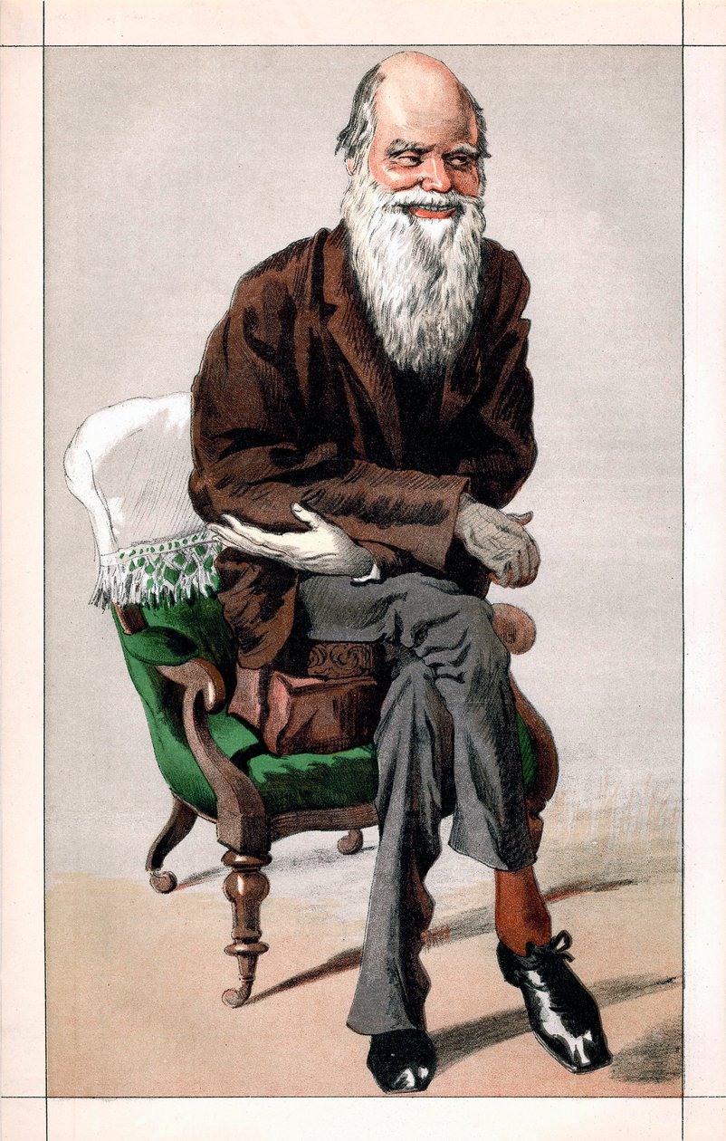 Portrait de Charles Darwin - James Jacques Joseph  Tissot