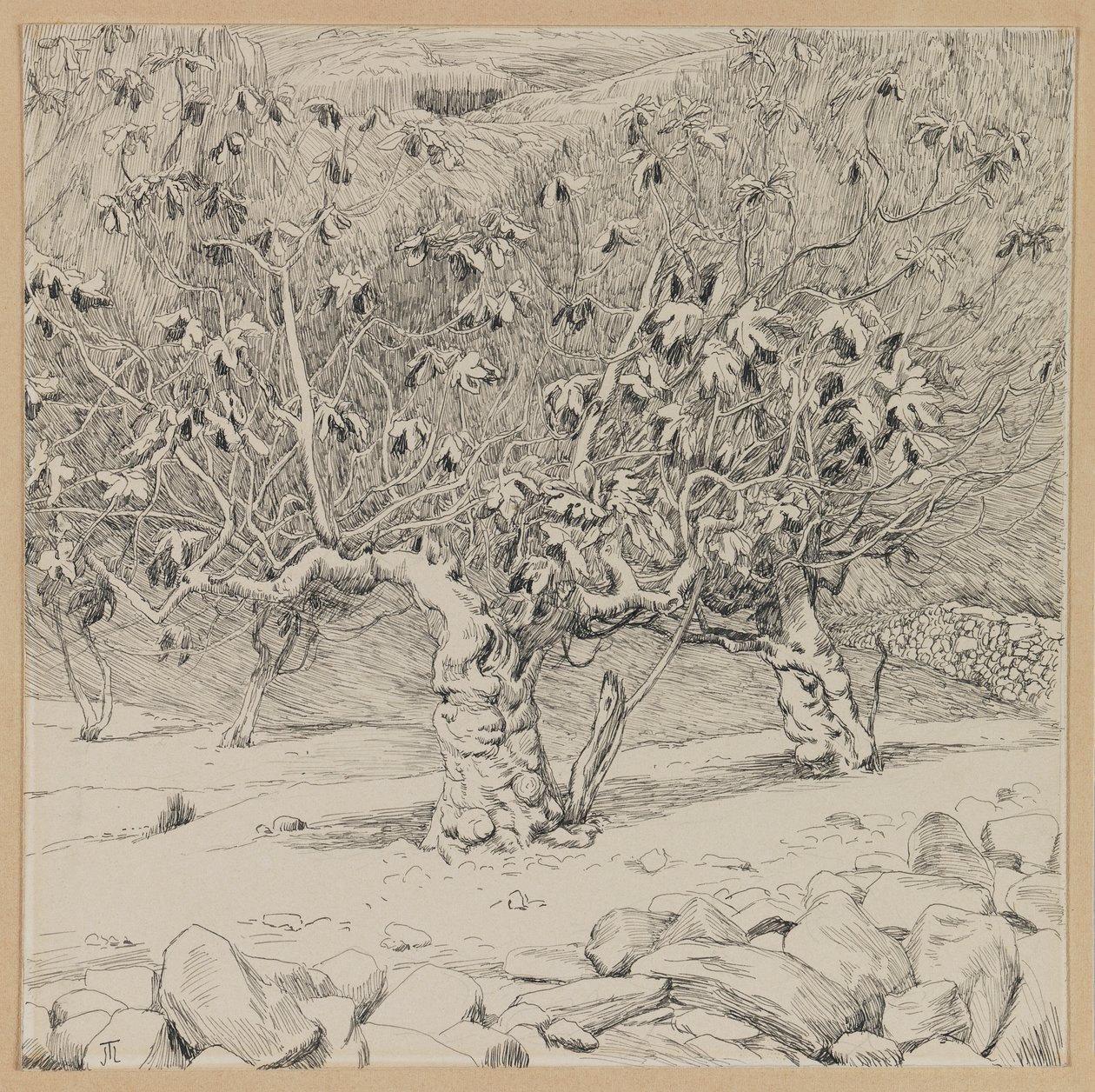 Figuier, Vallée de Hinnom (illustration de La Vie de Notre Seigneur Jésus-Christ) - James Jacques Joseph Tissot