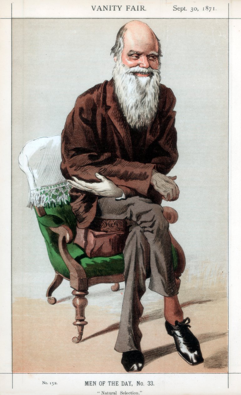Sélection naturelle, 1871 - James Jacques Joseph Tissot