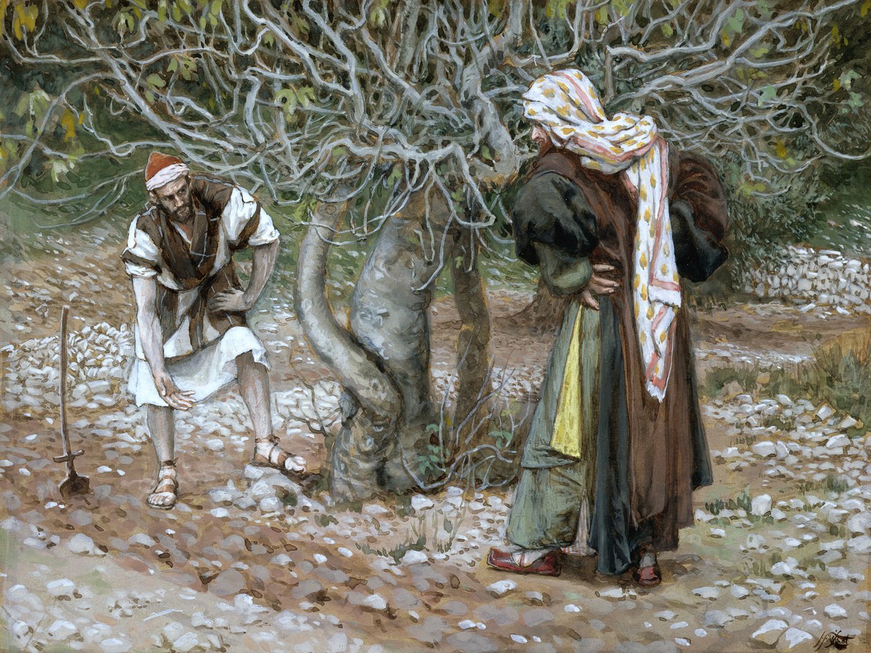 Le figuier stérile, illustration pour La vie du Christ - James Jacques Joseph Tissot