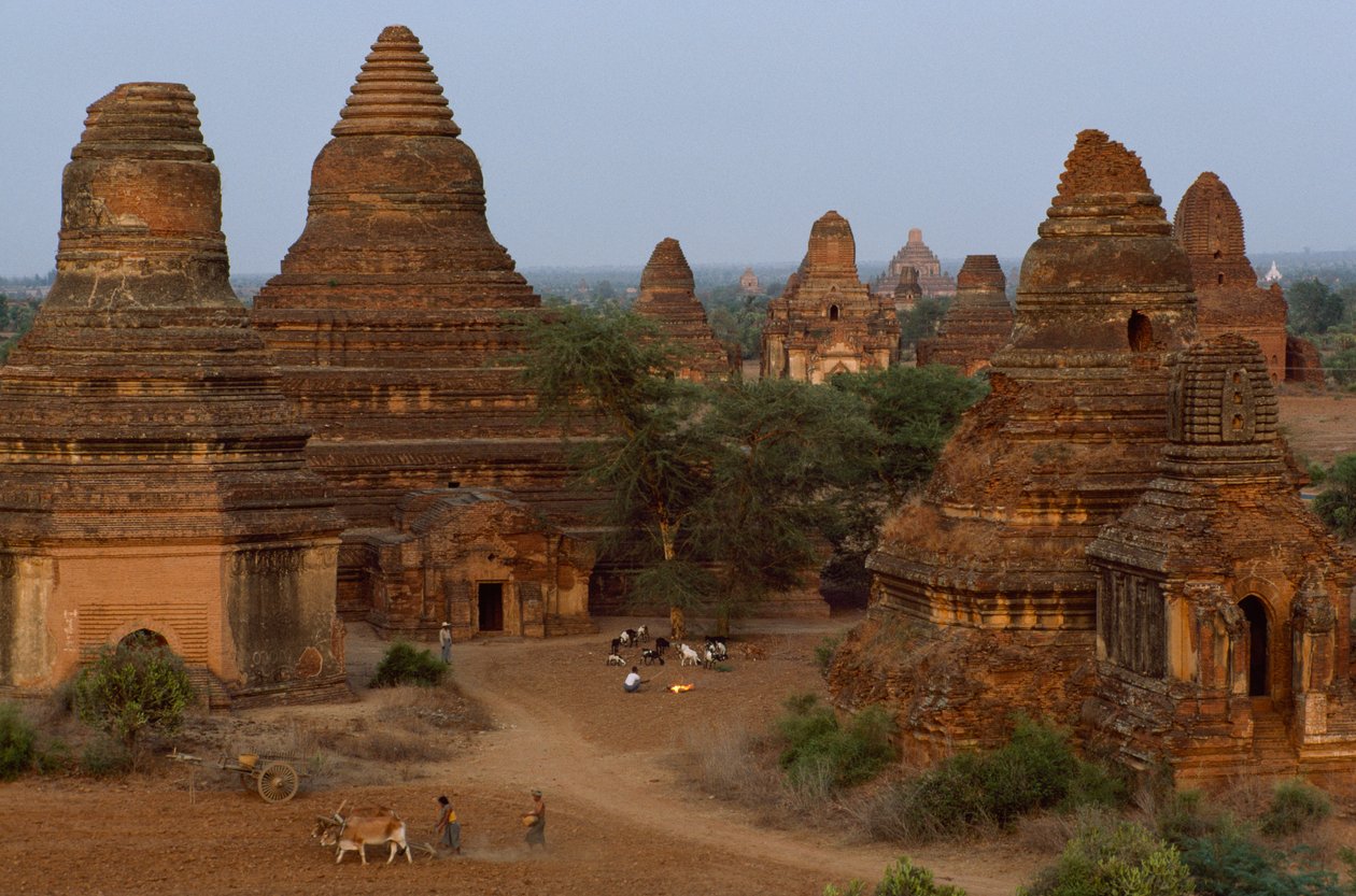 Pagodes Man Aung avec des fermiers, Myanmar - James L Stanfield