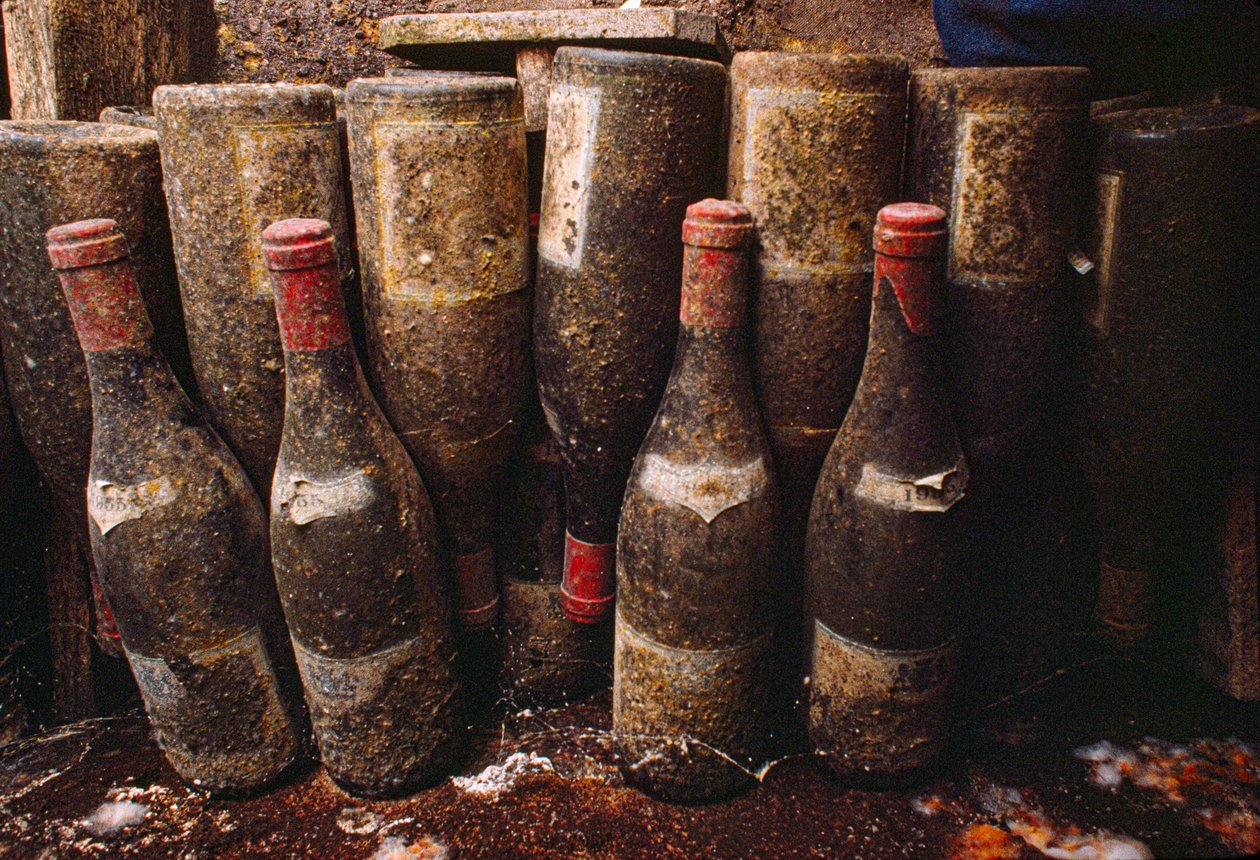Bouteilles de vin rouge, couvertes de moisissure, vieillissant dans une cave à vin. Tain-L