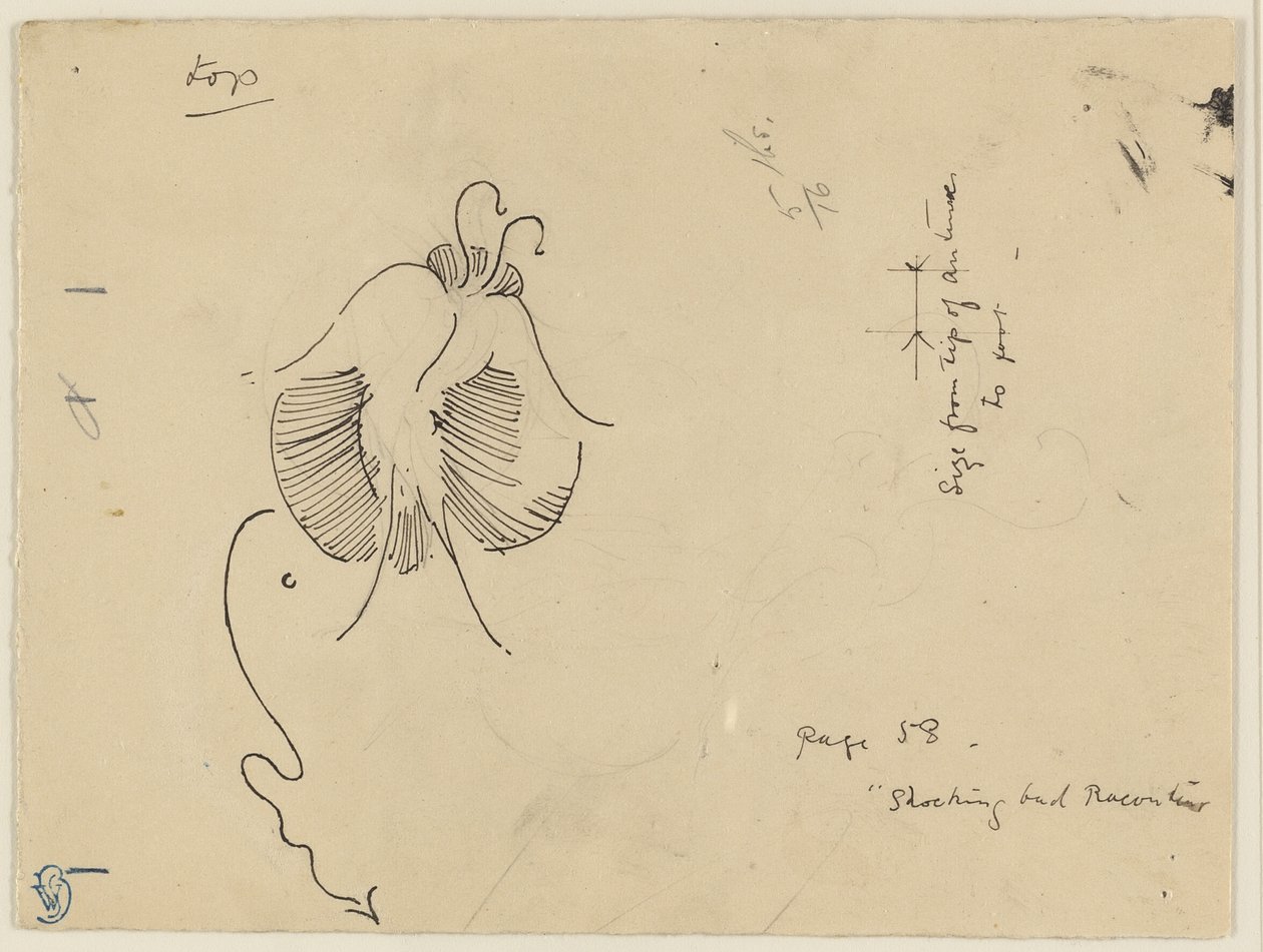 Papillon (recto) ; Fragment de papillon (verso) - James McNeill Whistler