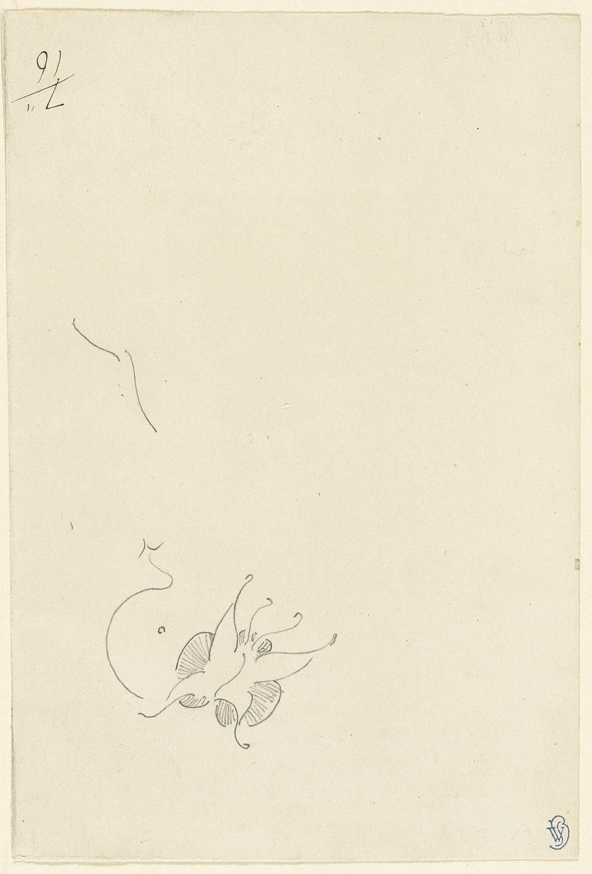 Papillon - James Abbott McNeill Whistler