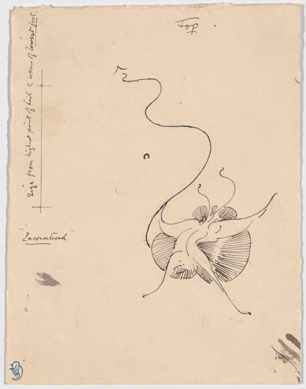 Papillon "Rencontré" (recto) ; Esquisse pour le cordier (verso) - James McNeill Whistler