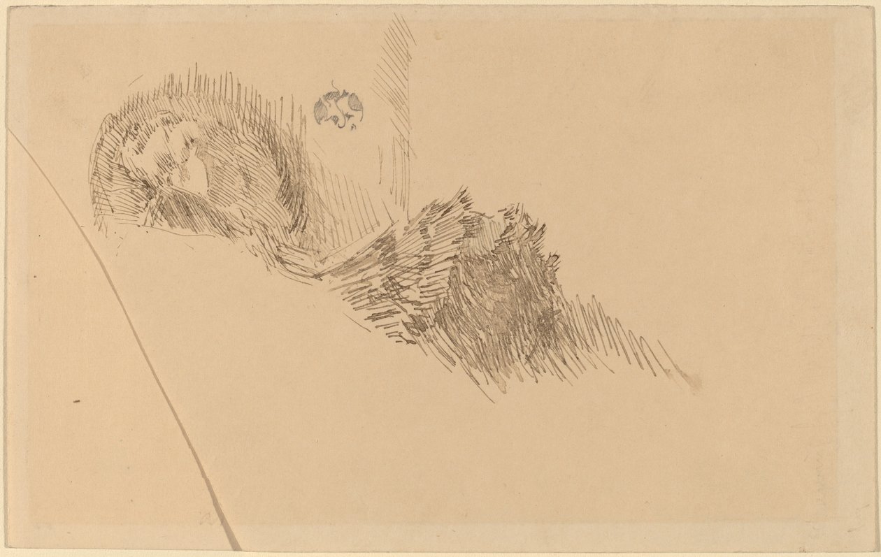 Mme ou Mlle McNay - James Abbott McNeill Whistler