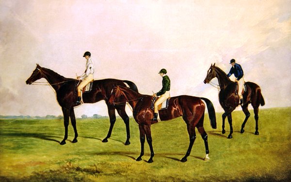 Chevaux de course avec jockeys - James Pollard