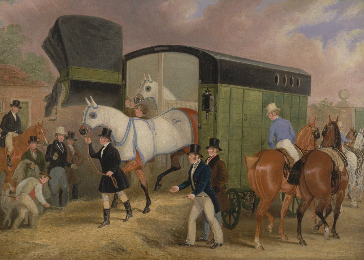 Les animaux de compagnie du Derby : L