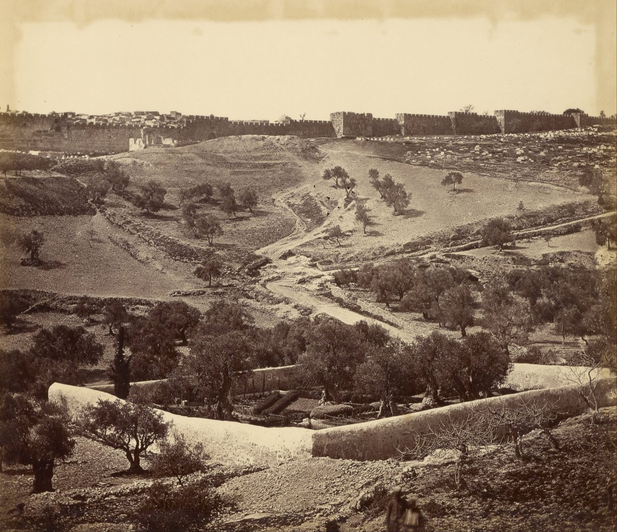 Jardin de Gethsémani et montée vers la porte de Stephen, à travers la vallée de Jehosephat - James Robertson