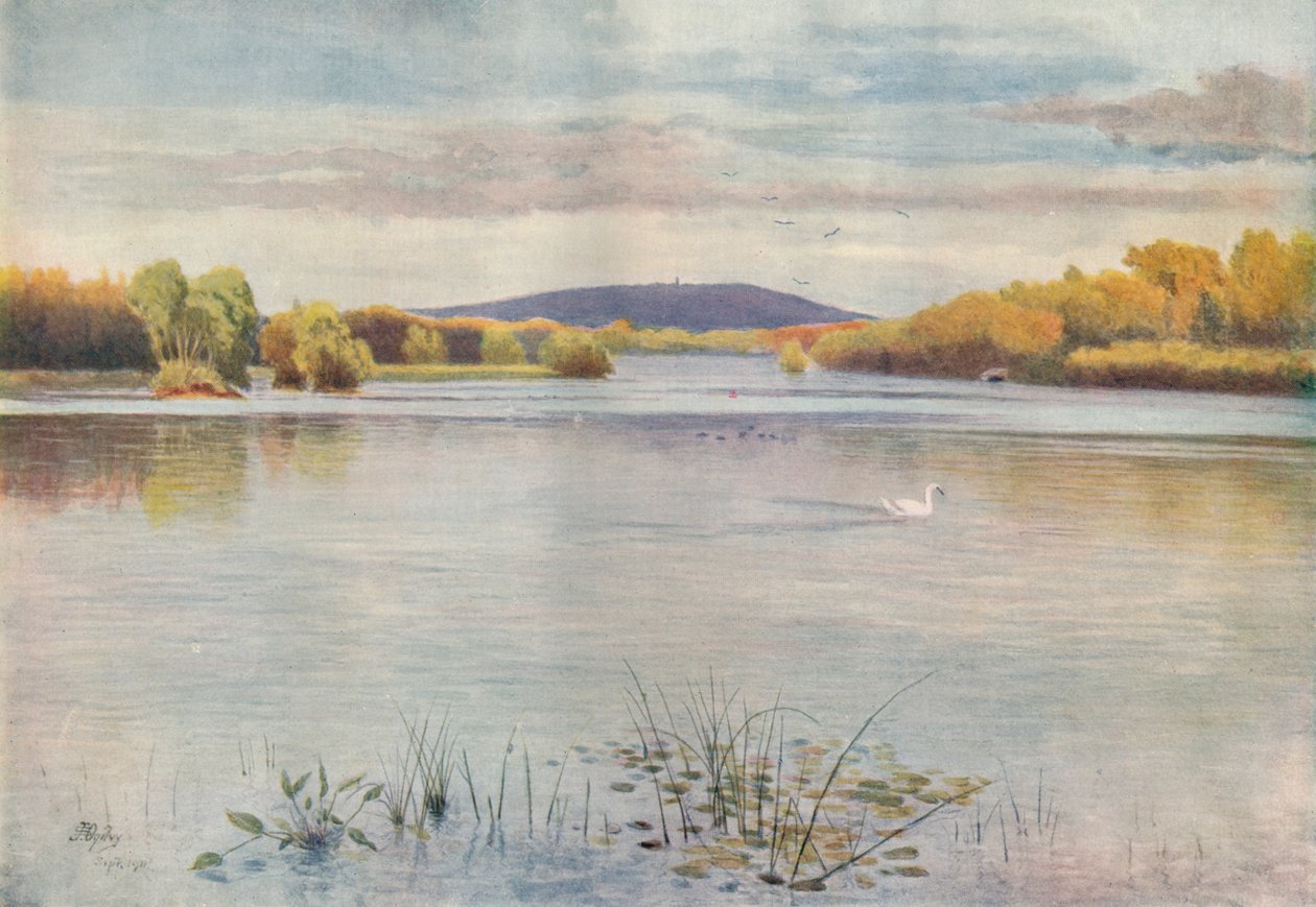 Étang de Vachery, 1911, 1914 - James S Ogilvy