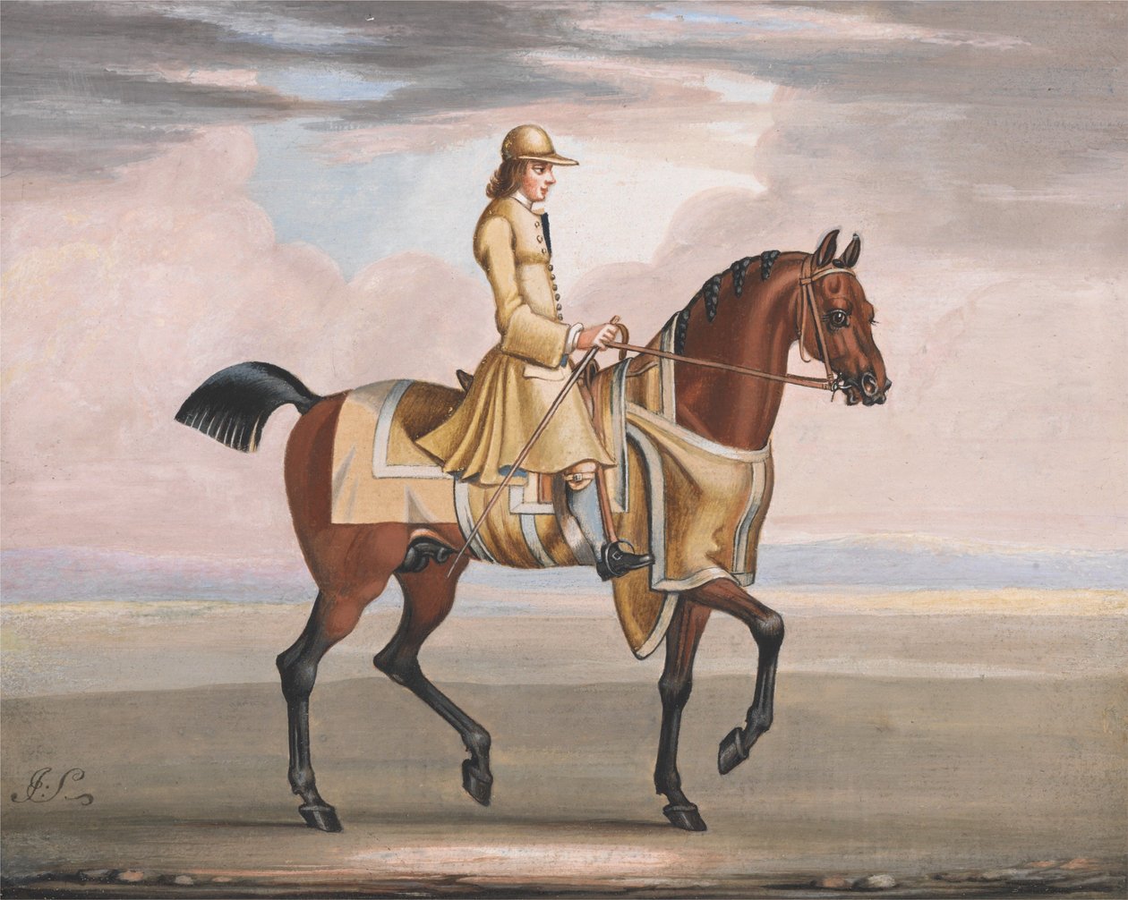 Un cheval alezan à l