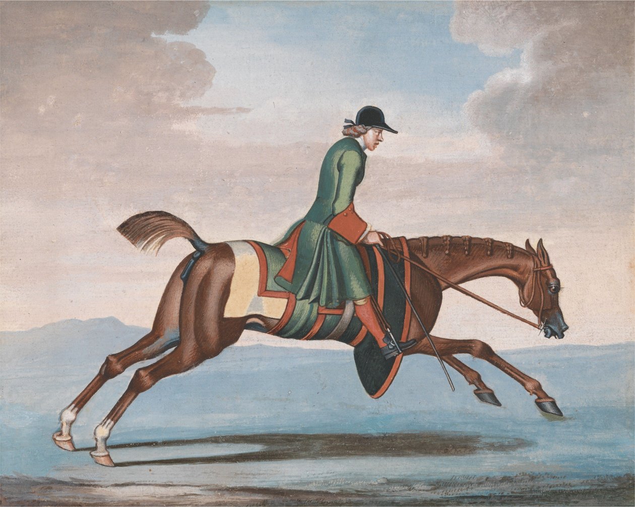 Cheval de course à l