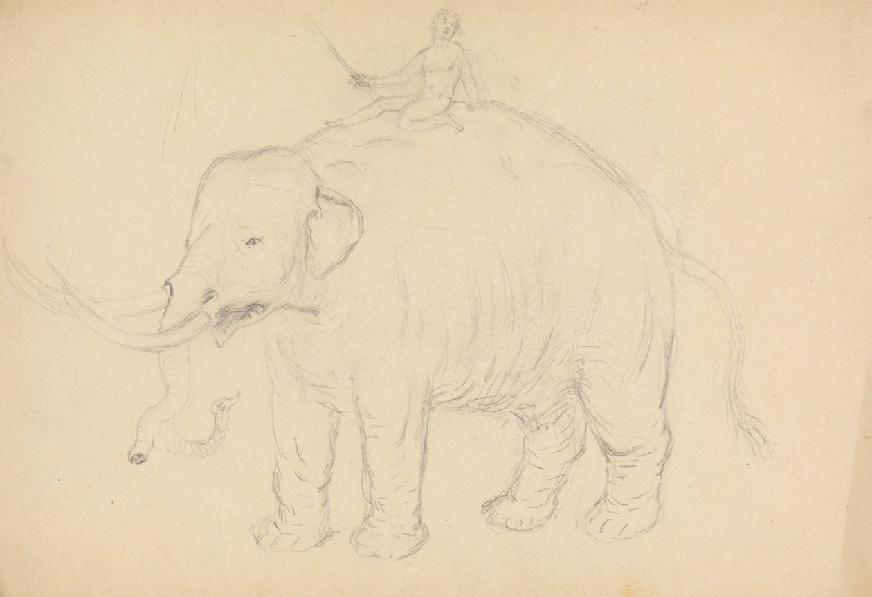 Éléphant avec cavalier - James Sowerby