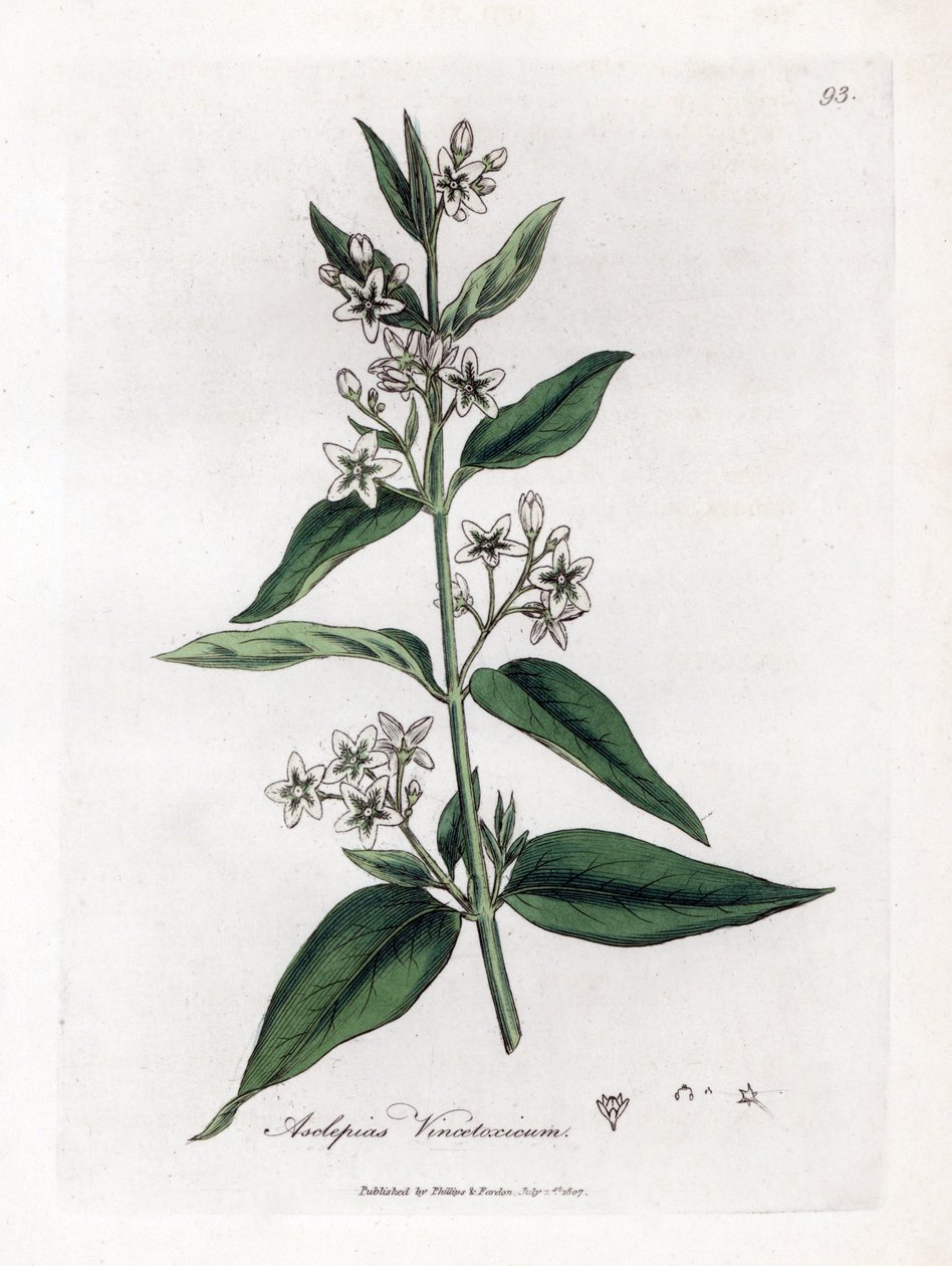 Variété d