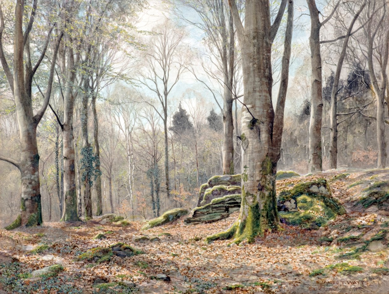 Un Bois Gallois - James Thomas Watts