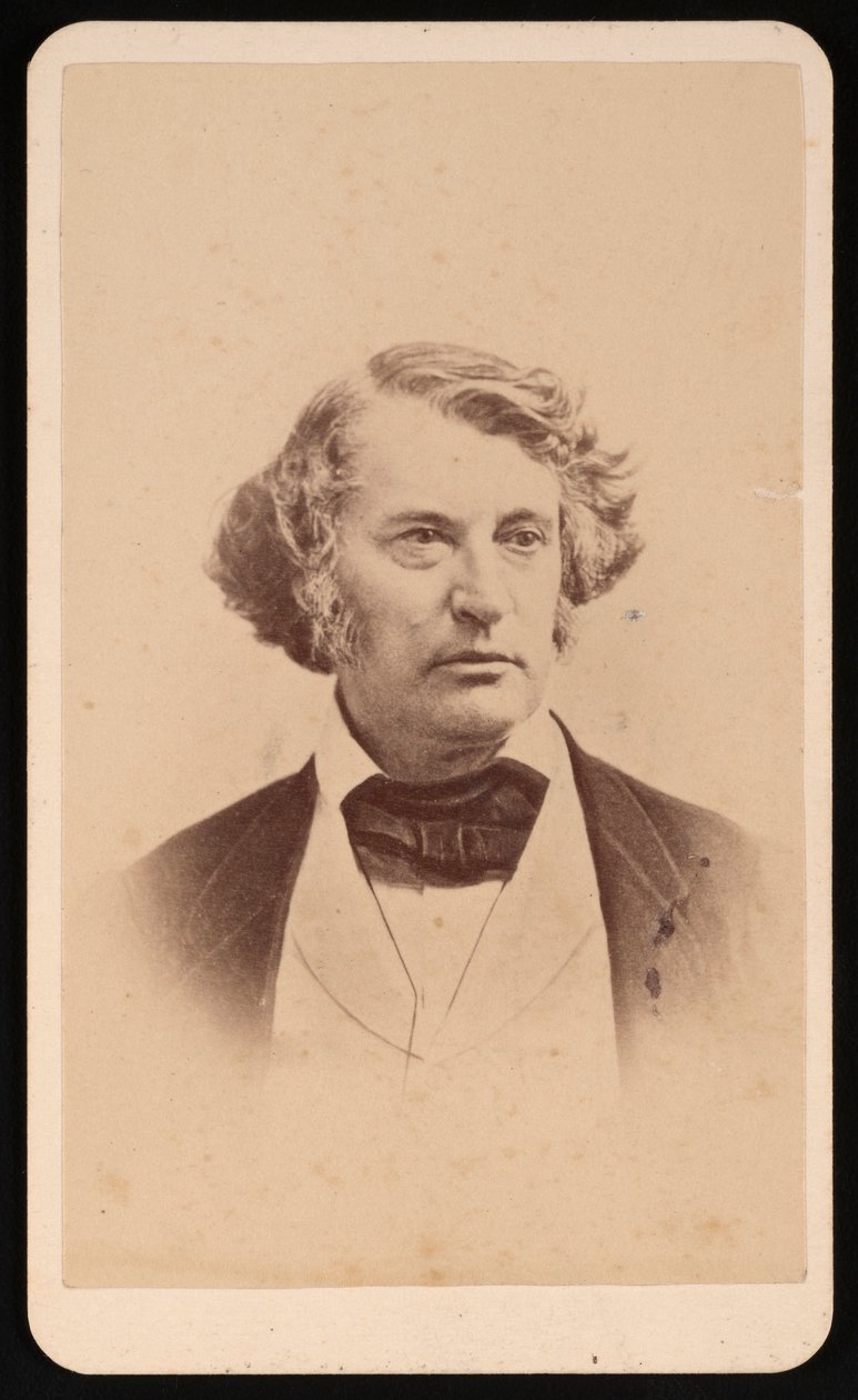 Portrait de Charles Sumner 1811-1874, avant 1874 - James Wallace Black