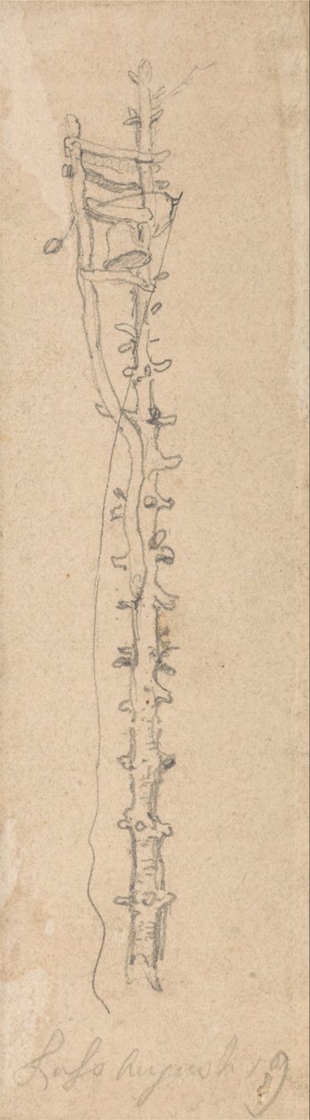 Une cloche sur un poteau dentelé - James Ward