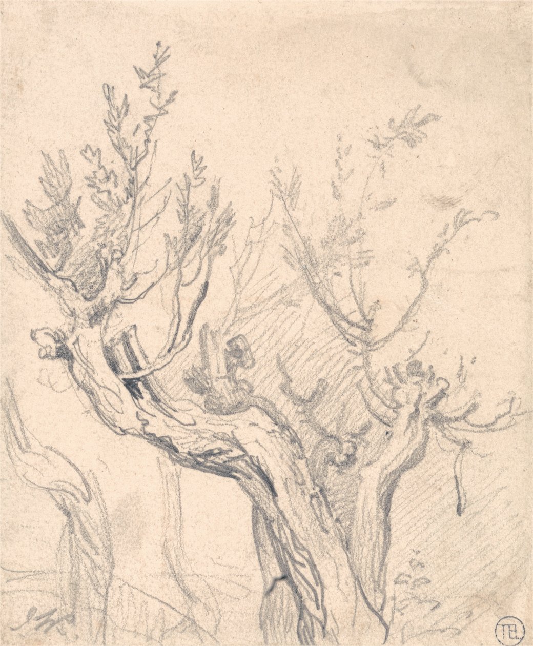 Un arbre noueux - James Ward